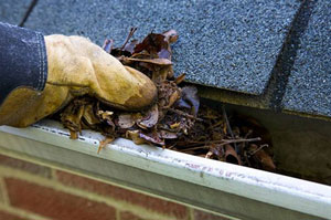 Gutter Cleaning Christchurch Dorset