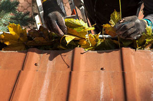 Gutter Cleaning Swansea Wales