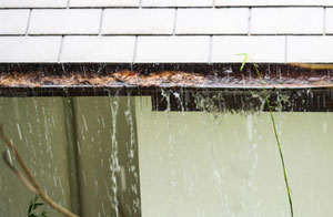 Gutter Clearance Ferndown (BH22)