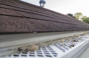 Gutter Guards Huntingdon Cambridgeshire