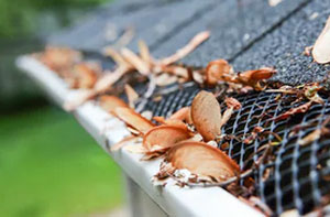 Gutter Guards Craigavon Northern Ireland