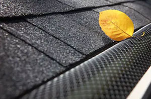 Gutter Maintenance Near Me Maldon