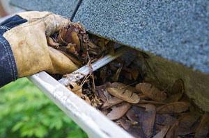 Gutter Cleaning Shoreham-by-Sea West Sussex